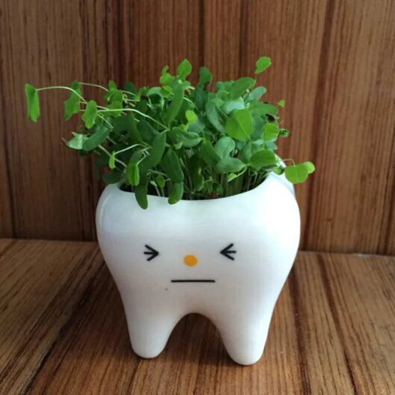 Dental Tooth Shape Flower Vase Home Decoration Pot Creative Garden Planter Pot Ceramic Pen Holder Cute Dentistry Dentist Gifts