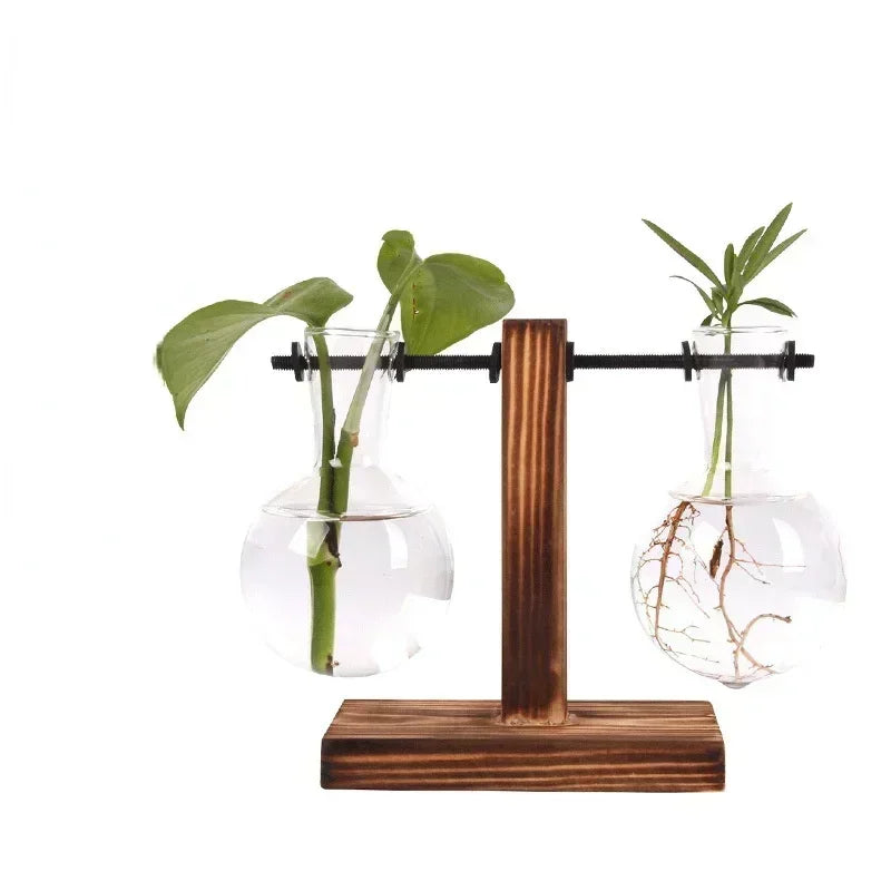 Modern 2 Glass Bottle Bamboo Hydroponic Plant Terrarium/Colors-Brown/Green