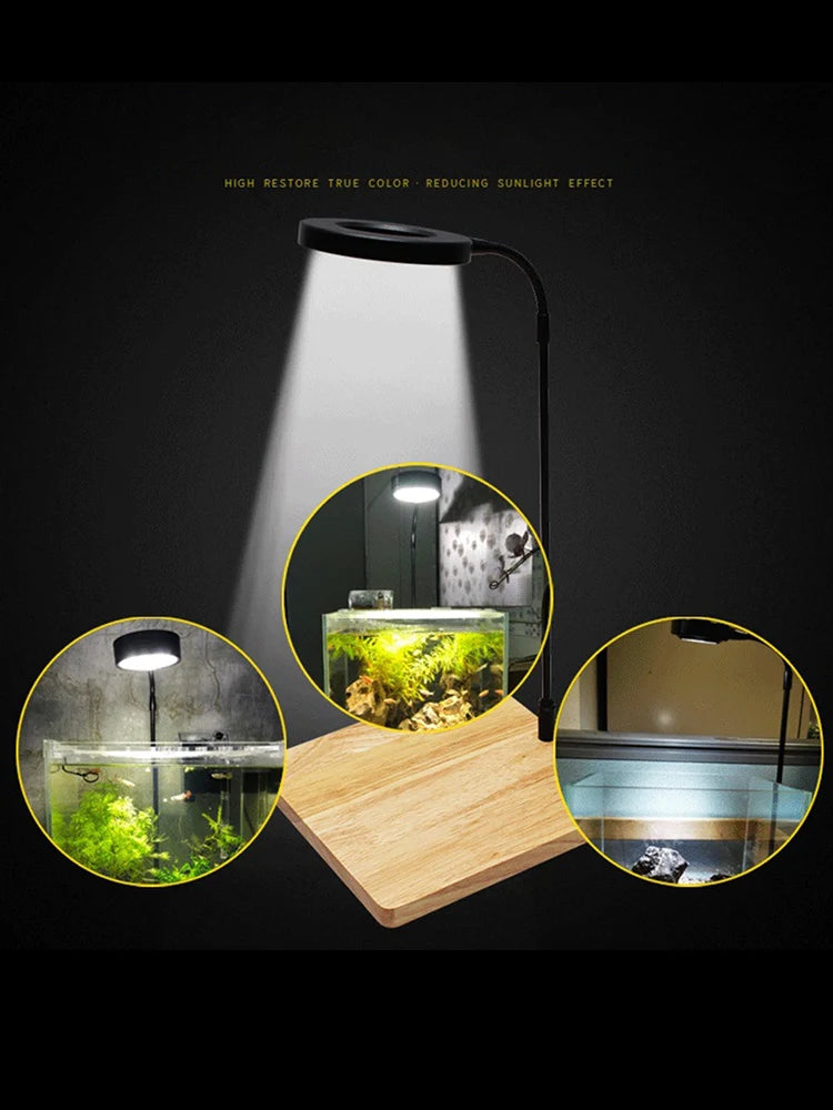 Fish Tank Aquarium LED Grow Light USB-DC Powered Adjustable Brightness-Color Temperature Wood Base Lamp