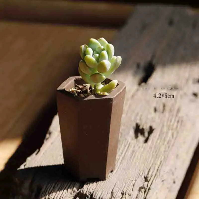 Yixing Purple Sand Flower Pot Mini Succulent Thumb Flower Pot Creative Home Chinese Small Bonsai Pot Decorative Flower Pot LE337