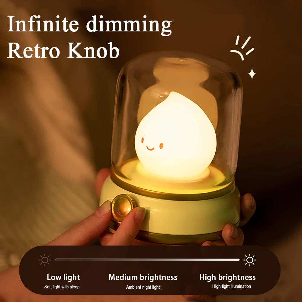 Round Glass Cute Capybara Kerosene Switch Button Sleeping Dimmable Night Light /2 Light Modes/Included LITHIUM ION Battery/Bulbs Included/USB Cable/Colors-Animal/Clear/Yellow/Green/No Batteries Required
