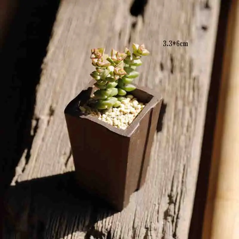 Yixing Purple Sand Flower Pot Mini Succulent Thumb Flower Pot Creative Home Chinese Small Bonsai Pot Decorative Flower Pot LE337