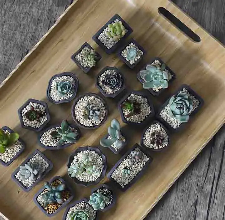 Yixing Purple Sand Flower Pot Mini Succulent Thumb Flower Pot Creative Home Chinese Small Bonsai Pot Decorative Flower Pot LE337