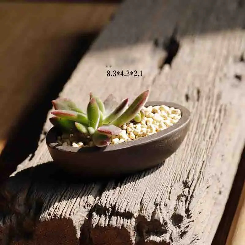 Yixing Purple Sand Flower Pot Mini Succulent Thumb Flower Pot Creative Home Chinese Small Bonsai Pot Decorative Flower Pot LE337