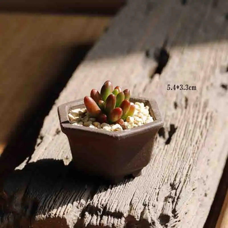 Yixing Purple Sand Flower Pot Mini Succulent Thumb Flower Pot Creative Home Chinese Small Bonsai Pot Decorative Flower Pot LE337