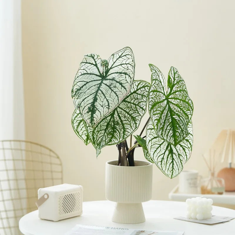 Nordic Creative Striped Ceramic Flower Pots, Modern Minimalist Morandi Vases, Green Plants, Home Decoration, Modern Decoration