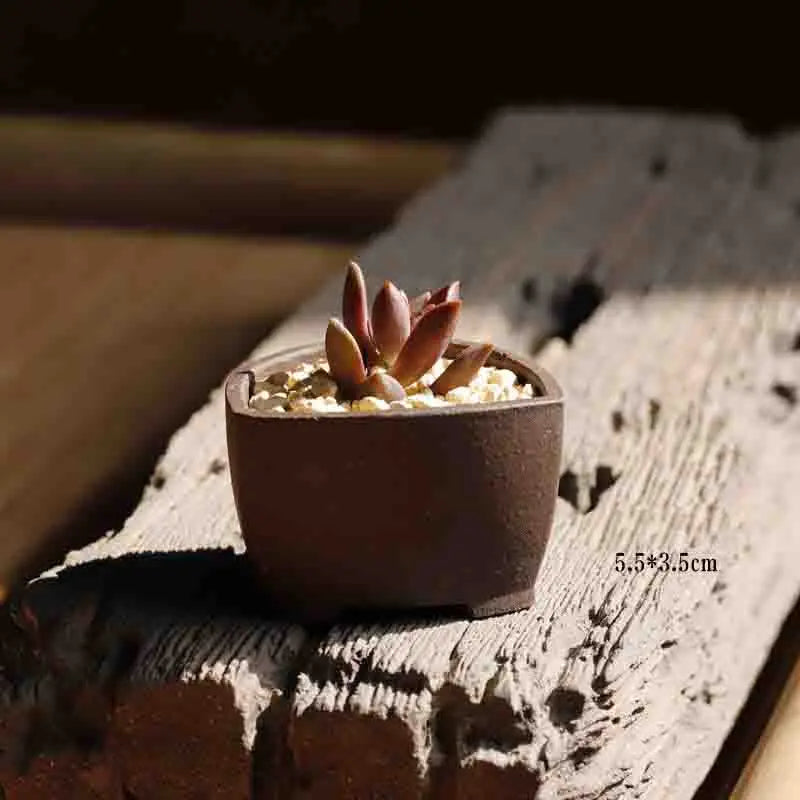 Yixing Purple Sand Flower Pot Mini Succulent Thumb Flower Pot Creative Home Chinese Small Bonsai Pot Decorative Flower Pot LE337