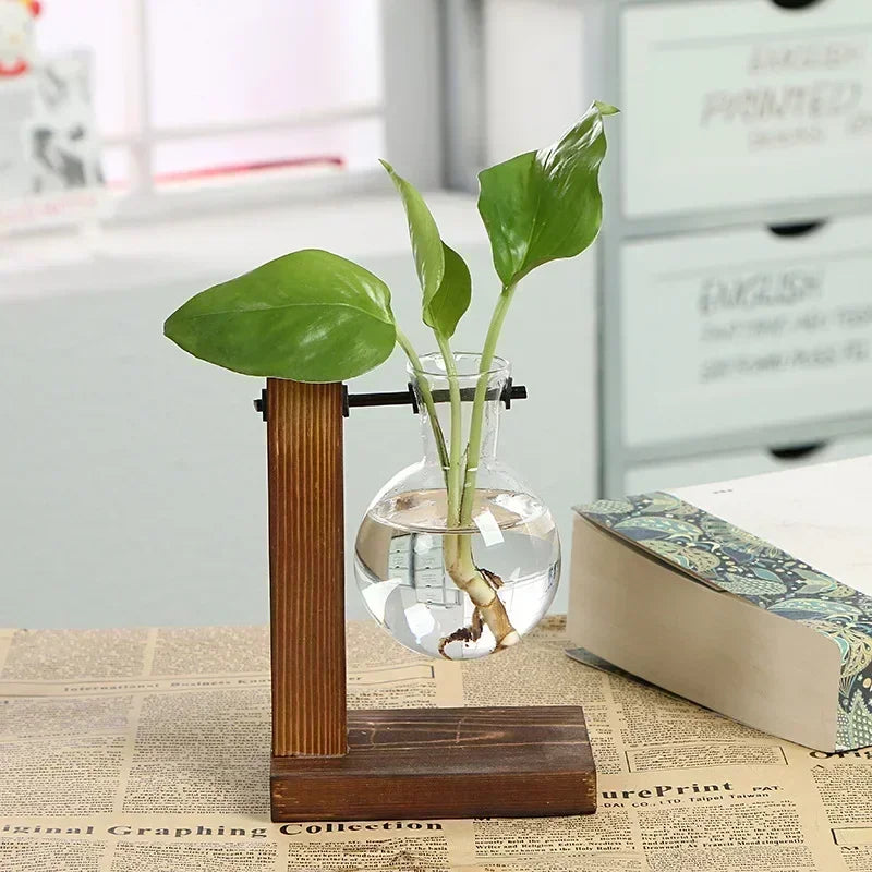 Modern 2 Glass Bottle Bamboo Hydroponic Plant Terrarium/Colors-Brown/Green