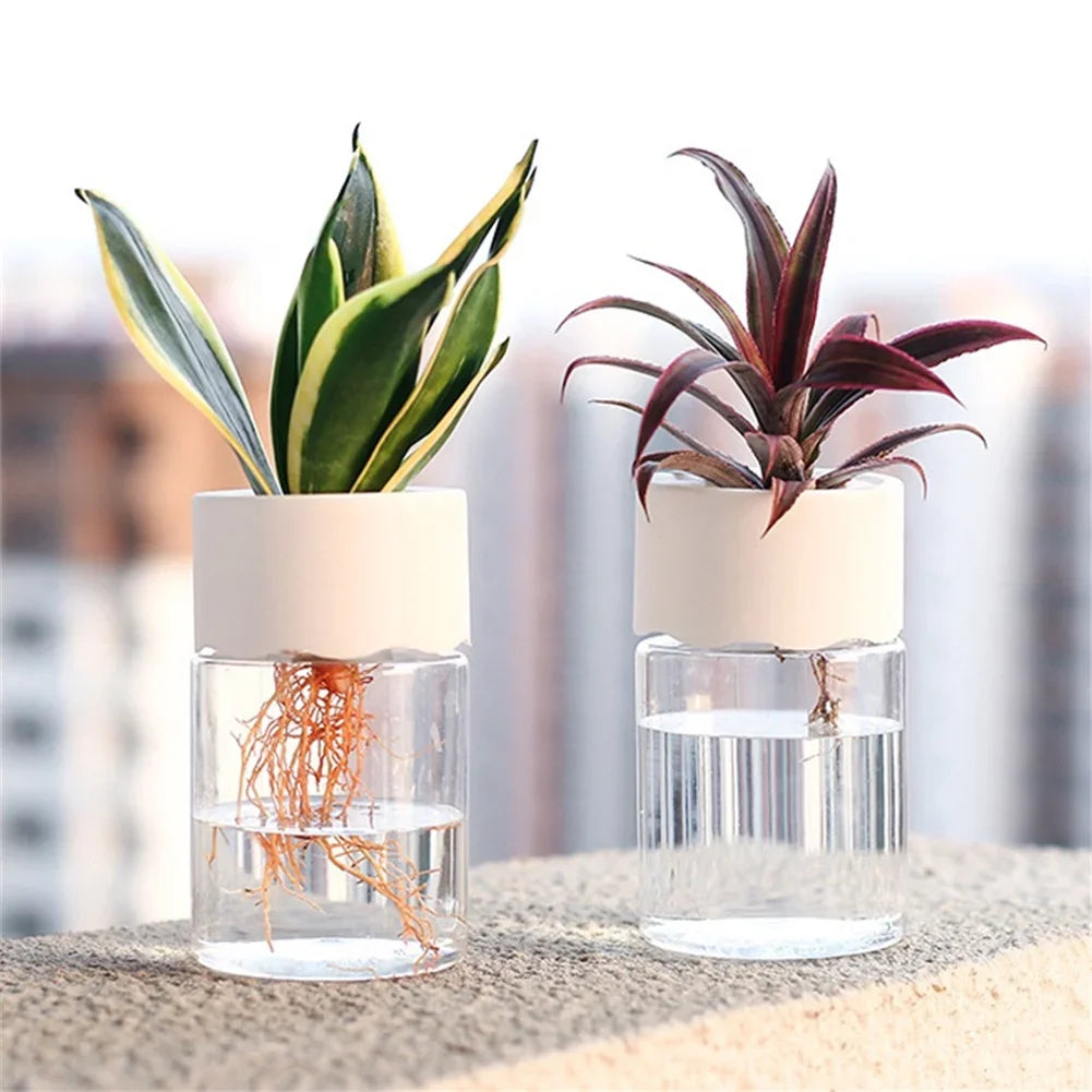 Plastic Transparent Imitation Glass Mini Hydroponic Flower Vases/Colors-White/Clear