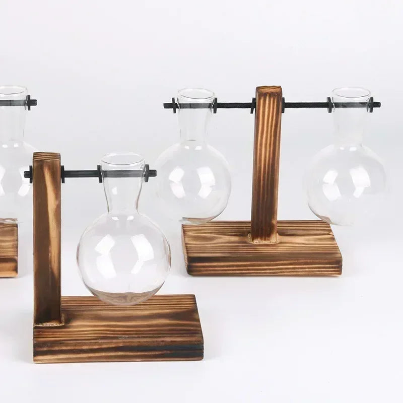 Modern 2 Glass Bottle Bamboo Hydroponic Plant Terrarium/Colors-Brown/Green