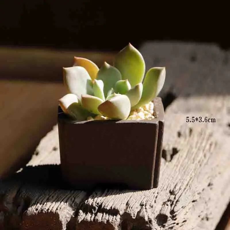 Yixing Purple Sand Flower Pot Mini Succulent Thumb Flower Pot Creative Home Chinese Small Bonsai Pot Decorative Flower Pot LE337