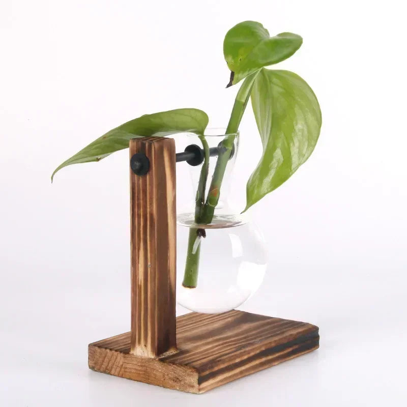 Modern 2 Glass Bottle Bamboo Hydroponic Plant Terrarium/Colors-Brown/Green