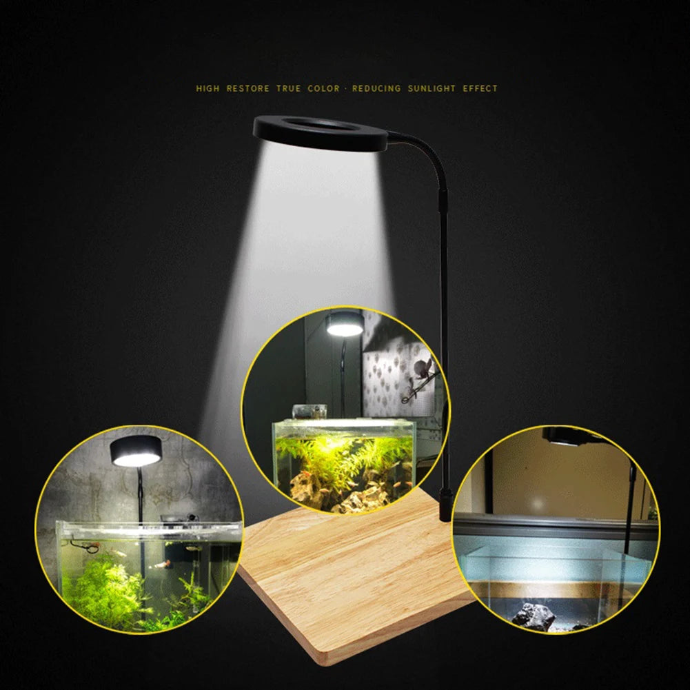 Fish Tank Aquarium LED Grow Light USB-DC Powered Adjustable Brightness-Color Temperature Wood Base Lamp