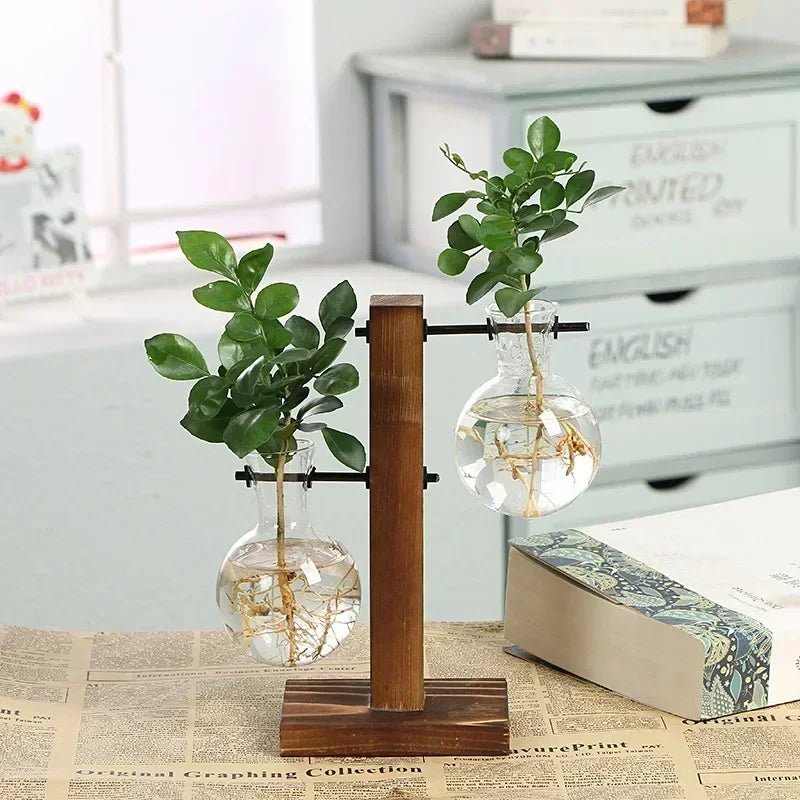 Modern 2 Glass Bottle Bamboo Hydroponic Plant Terrarium/Colors-Brown/Green