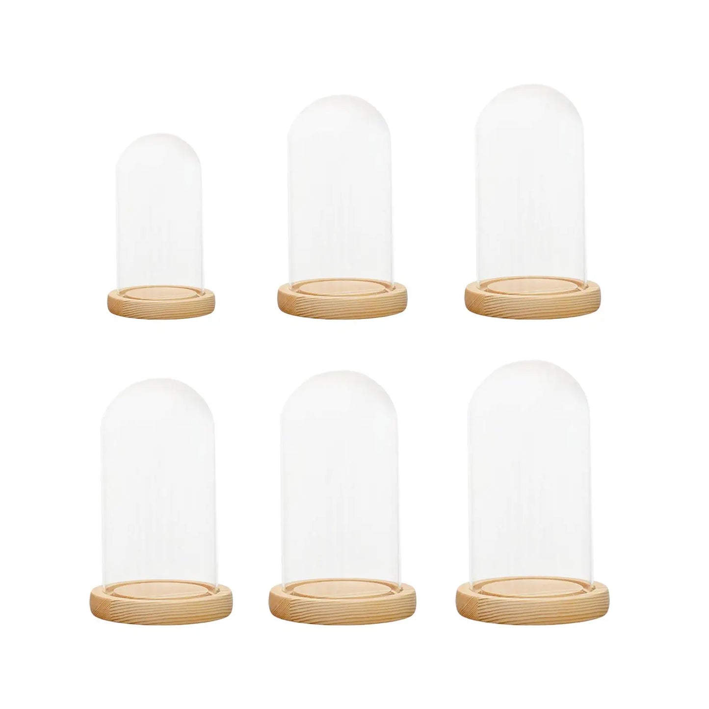 MagiDeal Clear Display Case Glass Dome-Wood Base