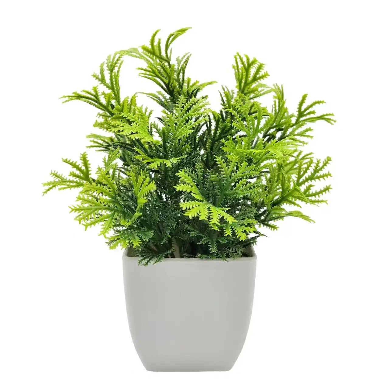 Indoor Mini Green Artificial Floral Bonsai Ardisia Spring Grass Pine Needle Non-Flowering Plant-Plastic Rectangle Pot