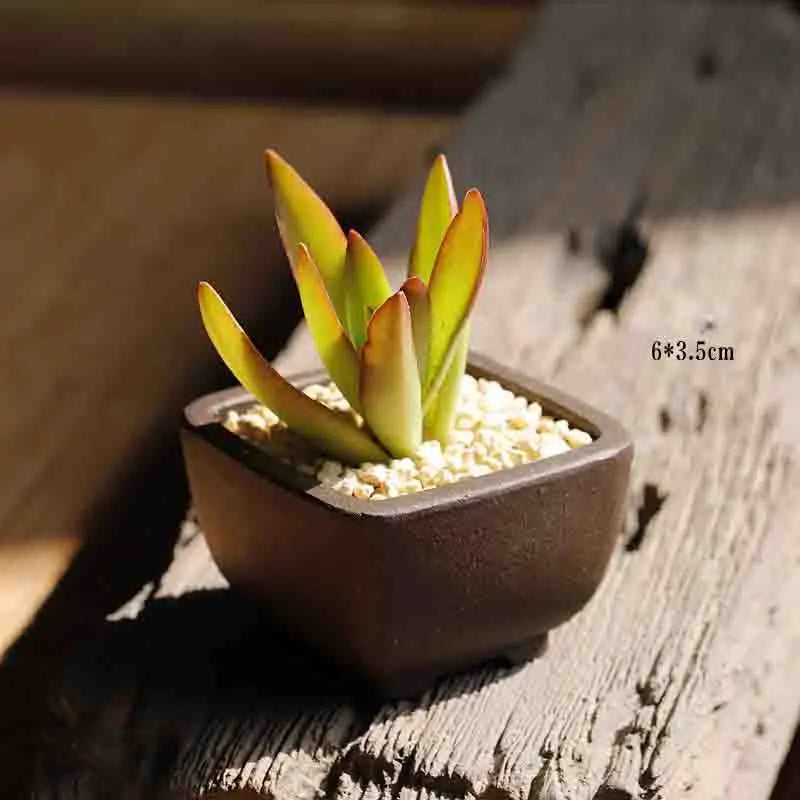 Yixing Purple Sand Flower Pot Mini Succulent Thumb Flower Pot Creative Home Chinese Small Bonsai Pot Decorative Flower Pot LE337