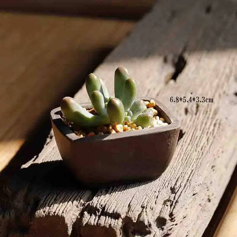 Yixing Purple Sand Flower Pot Mini Succulent Thumb Flower Pot Creative Home Chinese Small Bonsai Pot Decorative Flower Pot LE337