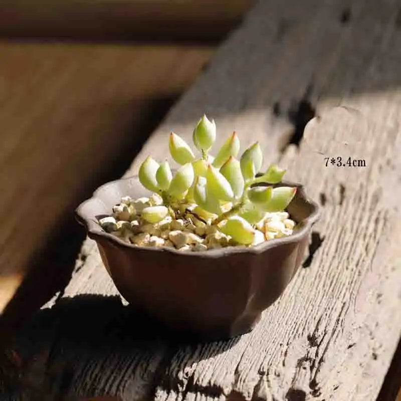 Yixing Purple Sand Flower Pot Mini Succulent Thumb Flower Pot Creative Home Chinese Small Bonsai Pot Decorative Flower Pot LE337