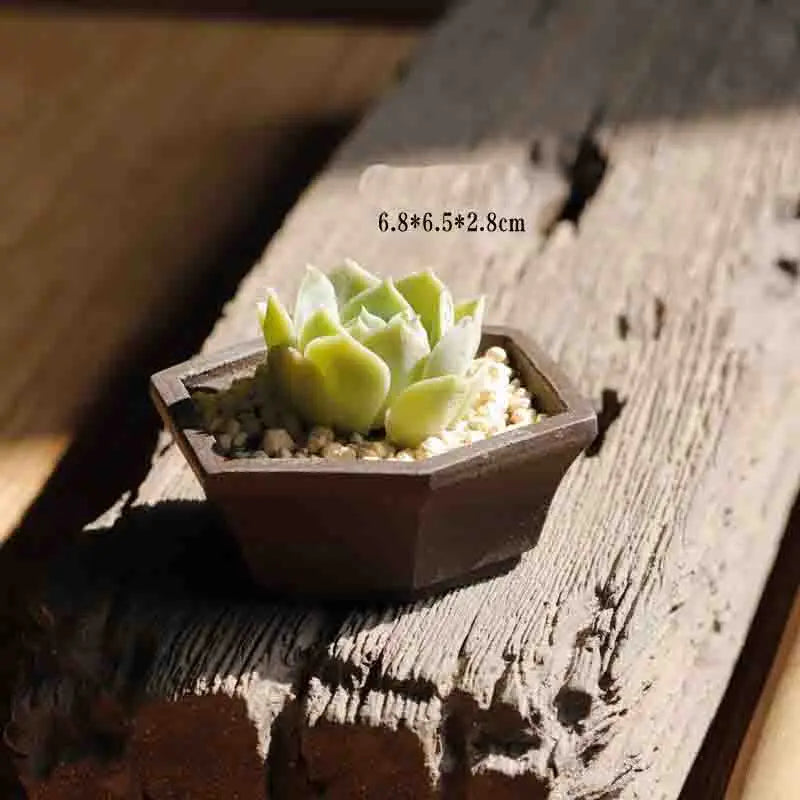Yixing Purple Sand Flower Pot Mini Succulent Thumb Flower Pot Creative Home Chinese Small Bonsai Pot Decorative Flower Pot LE337