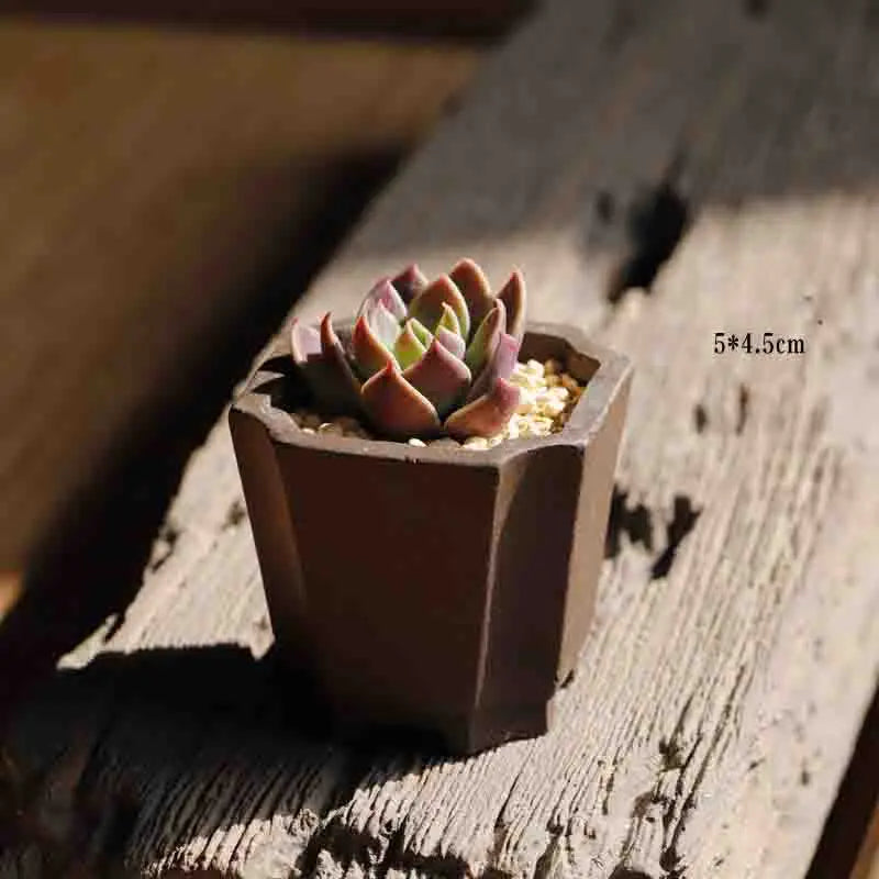 Yixing Purple Sand Flower Pot Mini Succulent Thumb Flower Pot Creative Home Chinese Small Bonsai Pot Decorative Flower Pot LE337