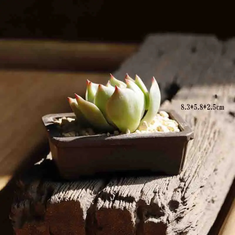 Yixing Purple Sand Flower Pot Mini Succulent Thumb Flower Pot Creative Home Chinese Small Bonsai Pot Decorative Flower Pot LE337