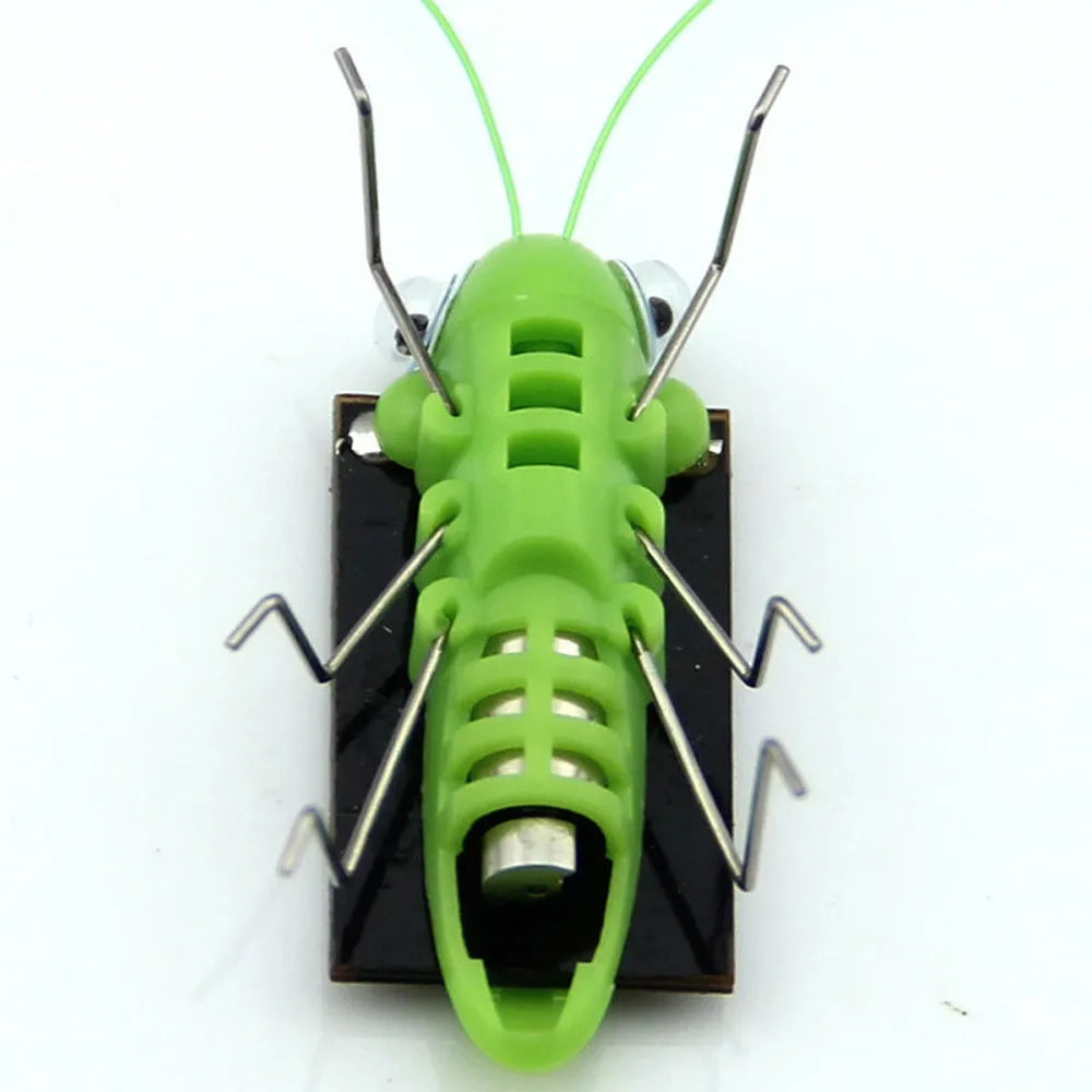 Modern Adults Science Solar-Powered Plastic-Metal Legs Funny Hopping Predominantly Green Grasshopper Insect Black Solar Panels On Back Educational Puzzle Toys/ Recommend Ages: 18 Years Old/Colors-Green/Black/White/Silver/Insects Animals