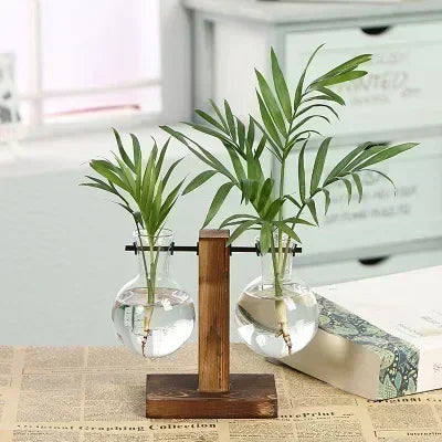 Modern 2 Glass Bottle Bamboo Hydroponic Plant Terrarium/Colors-Brown/Green