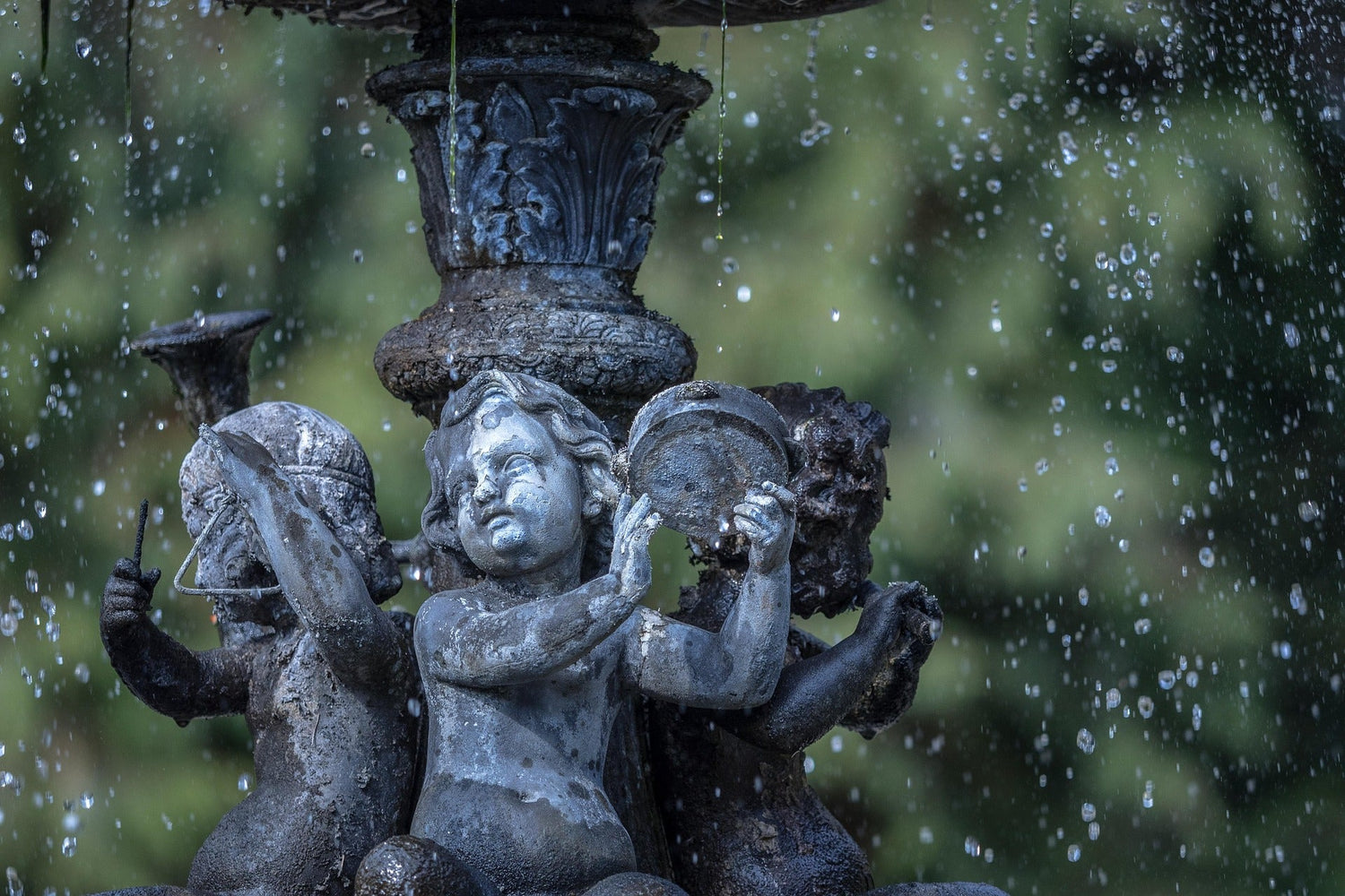 Indoor Fountain & Accessory