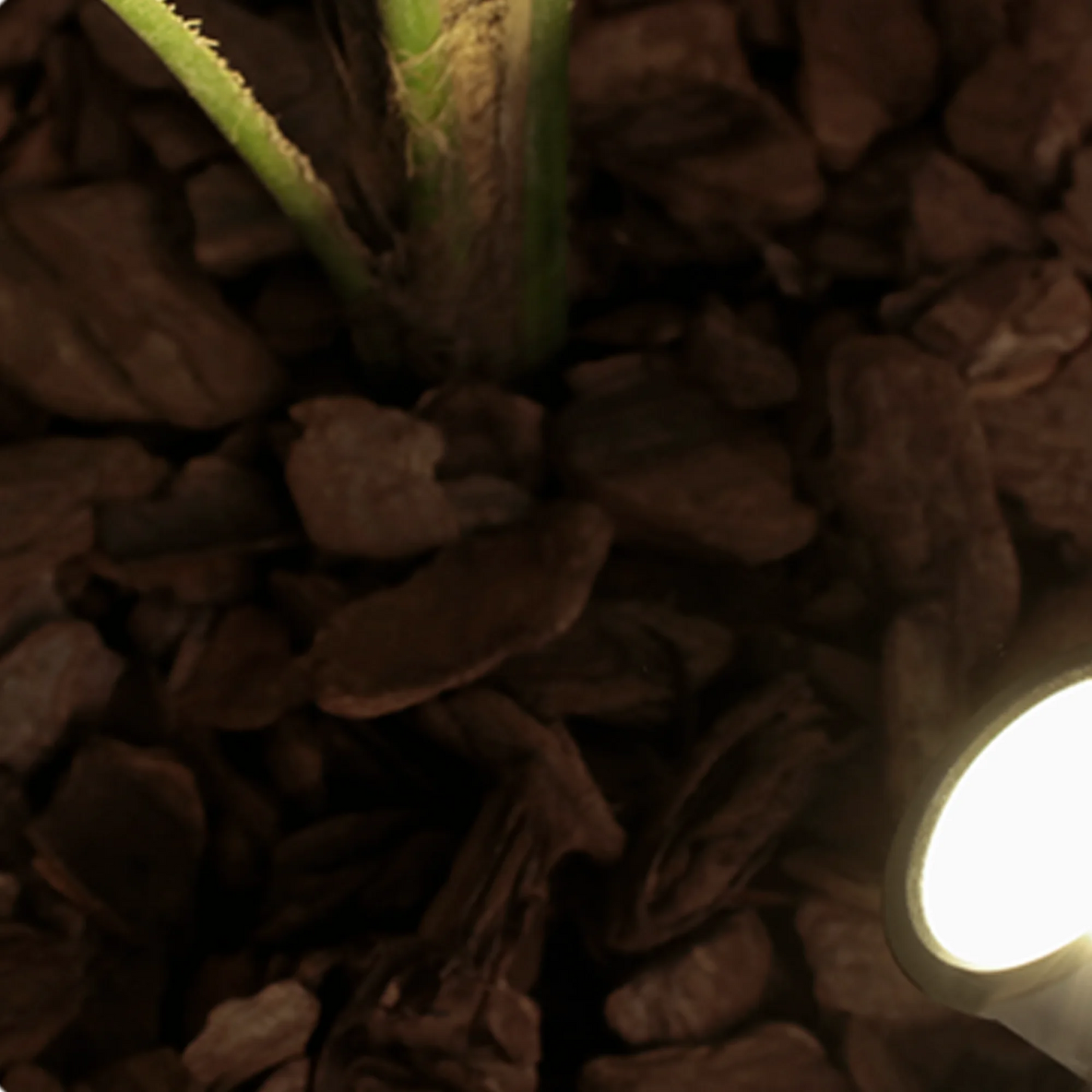 RY Brand Outdoor Garden 10 PCS Dimmable AC-Powered Cool-Warm White-Green Lights Display Black Round COB LED Underground Plastic Stake Lights Sets/Colors-Black/Green/White/Multicolor/Bulbs Included