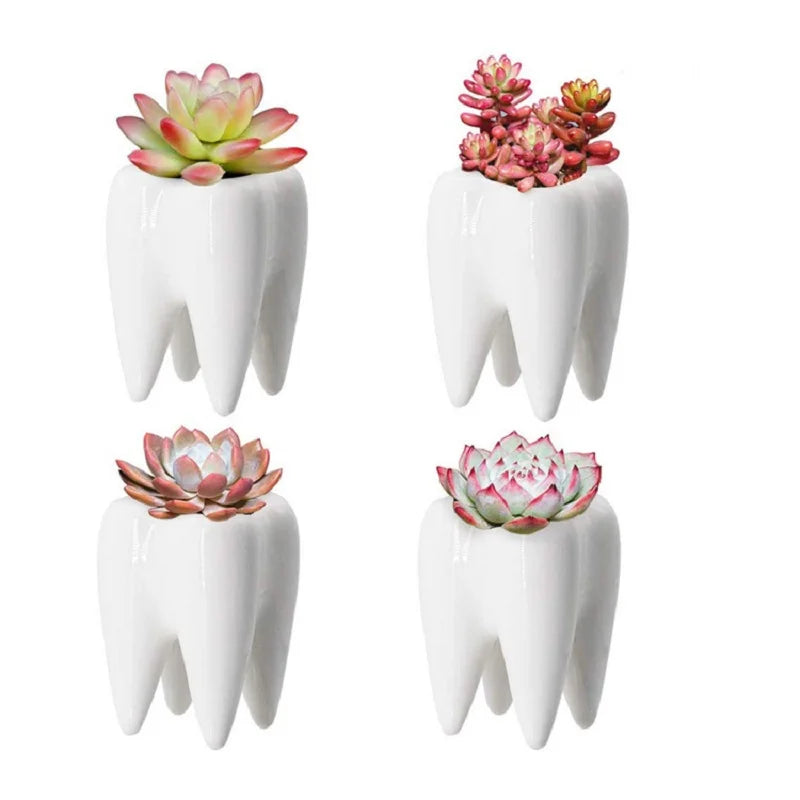 YOUYA DENTAL Indoor Ceramic Resin White Cute Smiling-Frowning Face Tooth Shaped Mini Floral Flower Pots Planters /Colors-Blue/White/Multicolor/Floral