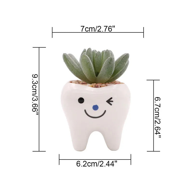 YOUYA DENTAL Indoor Ceramic Resin White Cute Smiling-Frowning Face Tooth Shaped Mini Floral Flower Pots Planters /Colors-Blue/White/Multicolor/Floral