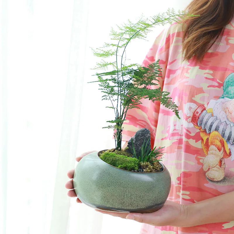 No-EN-Name-Null Indoor Glazed Gray-Green Ceramic Round Shaped Desktop Rustic Flower Pots Planters