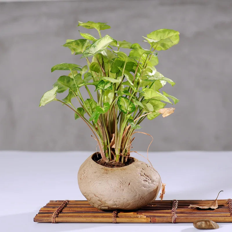 No-EN-Name-Null Beige Ceramic Unglazed Handmade Imitation Stoneware Pattern Desktop Flowerpots Planters