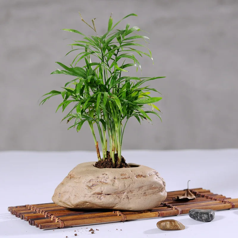 No-EN-Name-Null Beige Ceramic Unglazed Handmade Imitation Stoneware Pattern Desktop Flowerpots Planters