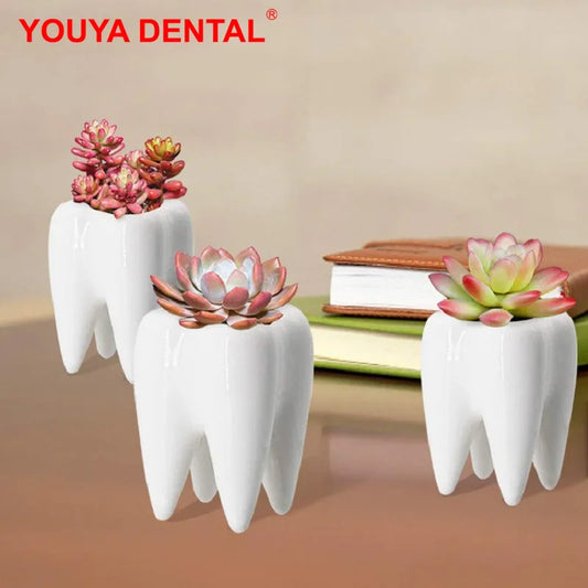 YOUYA DENTAL Indoor Ceramic Resin White Cute Smiling-Frowning Face Tooth Shaped Mini Floral Flower Pots Planters /Colors-Blue/White/Multicolor/Floral