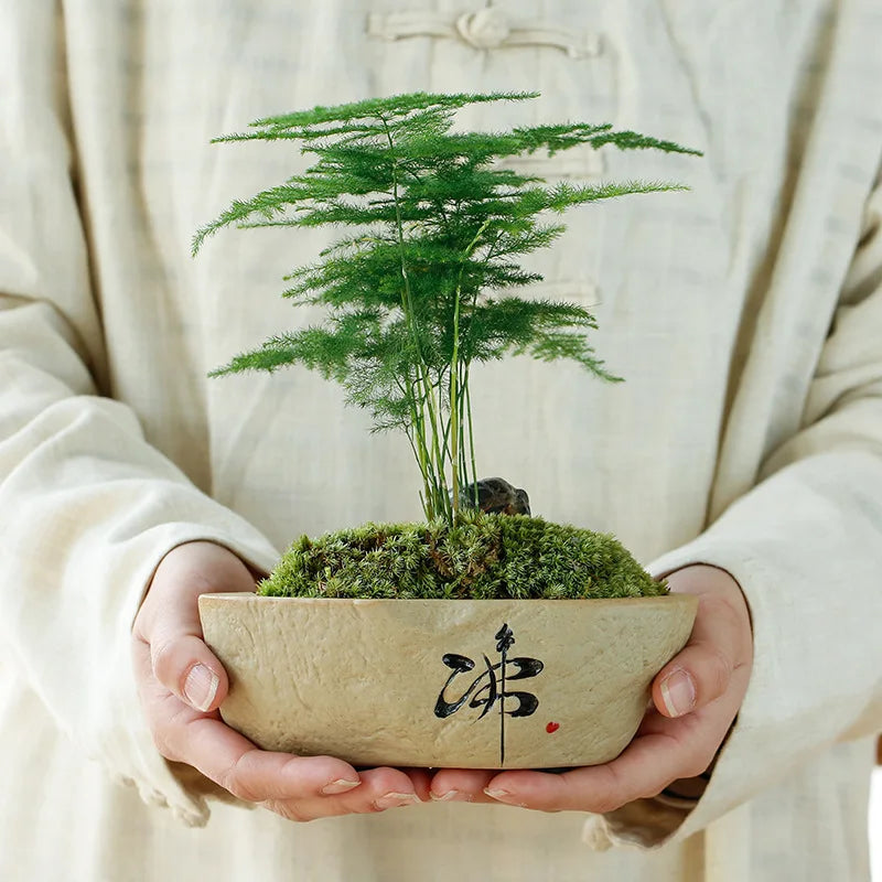 Home Garden Round Glazed Ceramic Beige-Green Color Black Chinese Writing Design Non-Porous Perforated Desktop Flower Pots