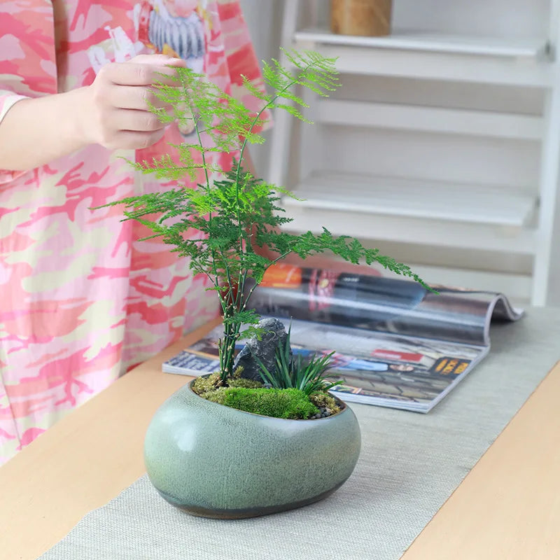 No-EN-Name-Null Indoor Glazed Gray-Green Ceramic Round Shaped Desktop Rustic Flower Pots Planters