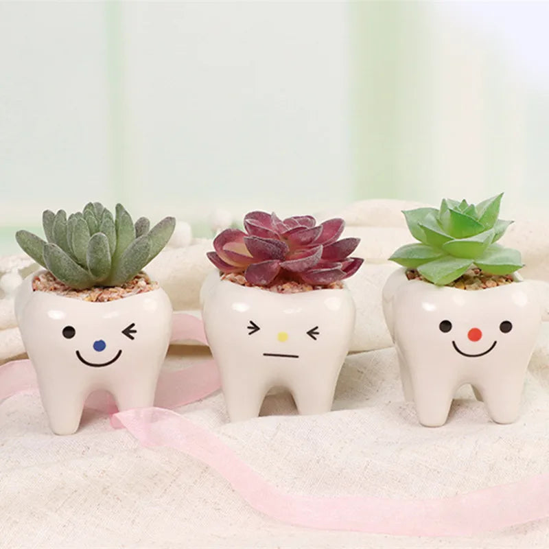 YOUYA DENTAL Indoor Ceramic Resin White Cute Smiling-Frowning Face Tooth Shaped Mini Floral Flower Pots Planters /Colors-Blue/White/Multicolor/Floral