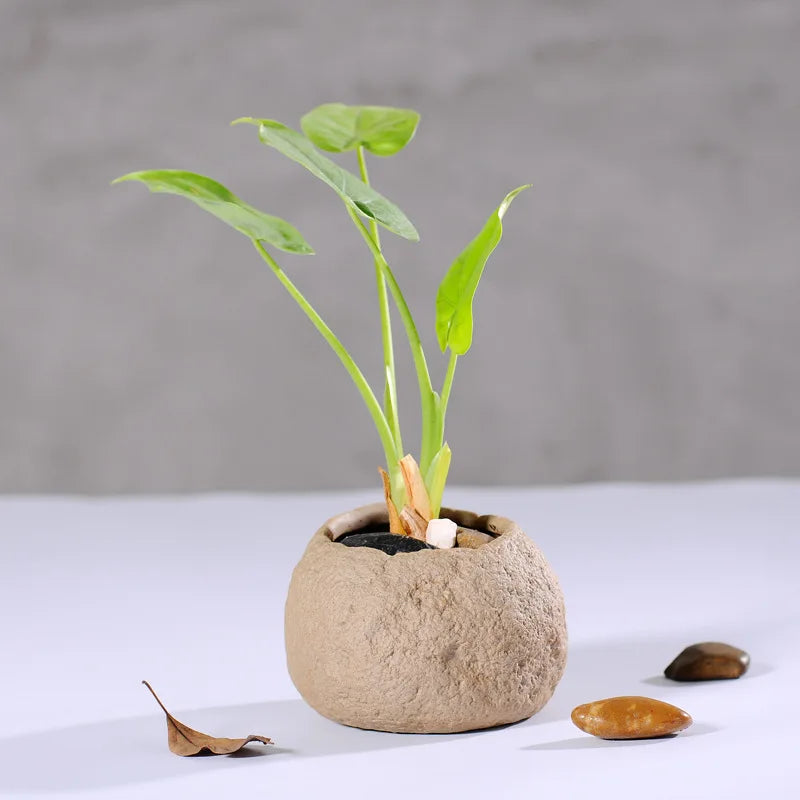 No-EN-Name-Null Beige Ceramic Unglazed Handmade Imitation Stoneware Pattern Desktop Flowerpots Planters