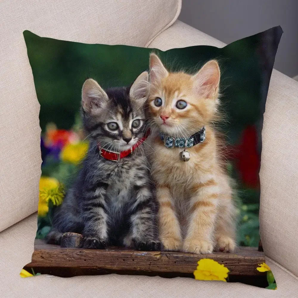 No-EN-Name-Null Printed Square Soft Polyester Multicolor Hilarious Cute Cat Animals Pillowcases /4 Sizes: 16  x 16 Inches/18 x 18 Inches/20 x 20 Inches/24 x 24 Inches/Colors-Animals/Multicolor