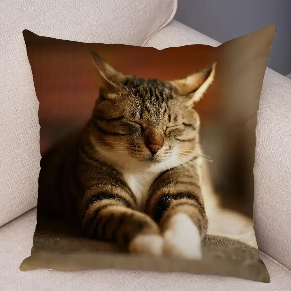 No-EN-Name-Null Printed Square Soft Polyester Multicolor Hilarious Cute Cat Animals Pillowcases /4 Sizes: 16  x 16 Inches/18 x 18 Inches/20 x 20 Inches/24 x 24 Inches/Colors-Animals/Multicolor