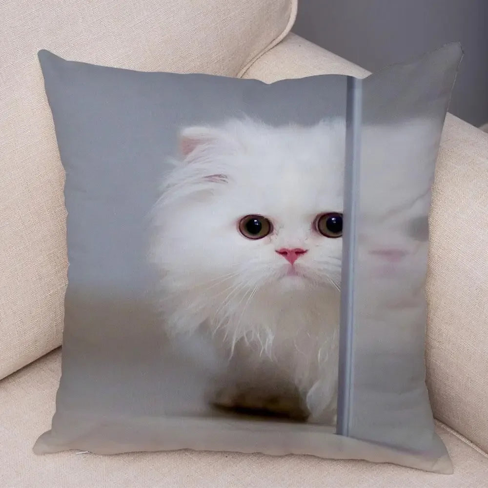 No-EN-Name-Null Printed Square Soft Polyester Multicolor Hilarious Cute Cat Animals Pillowcases /4 Sizes: 16  x 16 Inches/18 x 18 Inches/20 x 20 Inches/24 x 24 Inches/Colors-Animals/Multicolor