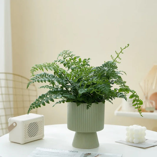 Nordic Creative Striped Ceramic Flower Pots, Modern Minimalist Morandi Vases, Green Plants, Home Decoration, Modern Decoration