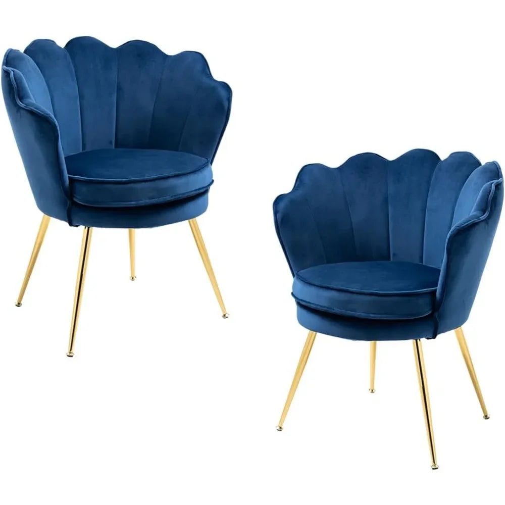 RUO WU Modern 2 PCS Beige-Blue Upholstered Padded Soft Skin-Friendly Velvet Fabric Shell-Shaped Cushions Four Gold Metal Legs Armchair Sets