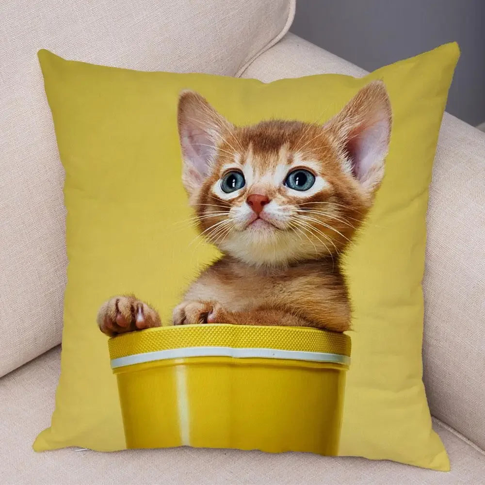 No-EN-Name-Null Printed Square Soft Polyester Multicolor Hilarious Cute Cat Animals Pillowcases /4 Sizes: 16  x 16 Inches/18 x 18 Inches/20 x 20 Inches/24 x 24 Inches/Colors-Animals/Multicolor