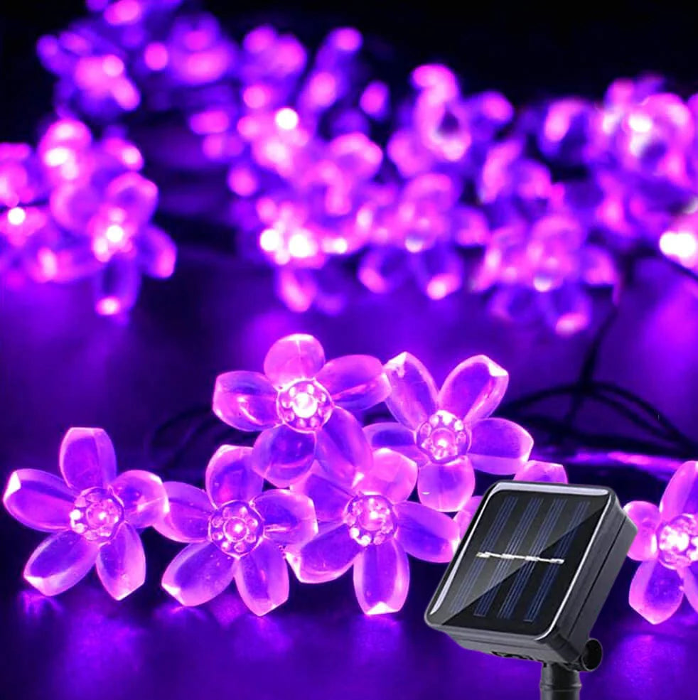 OKAL RED EAST Indoor-Outdoor Rechargeable Dimmable Solar-Powered Warm-Cool White LED Realistic Blue Flower Shaped Plastic Body Light Ropes-Strings/Colors-White/Purple/Blue/Floral