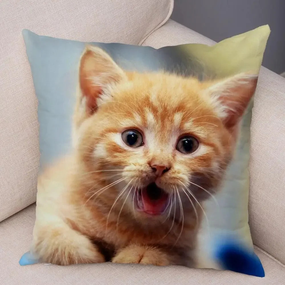 No-EN-Name-Null Printed Square Soft Polyester Multicolor Hilarious Cute Cat Animals Pillowcases /4 Sizes: 16  x 16 Inches/18 x 18 Inches/20 x 20 Inches/24 x 24 Inches/Colors-Animals/Multicolor