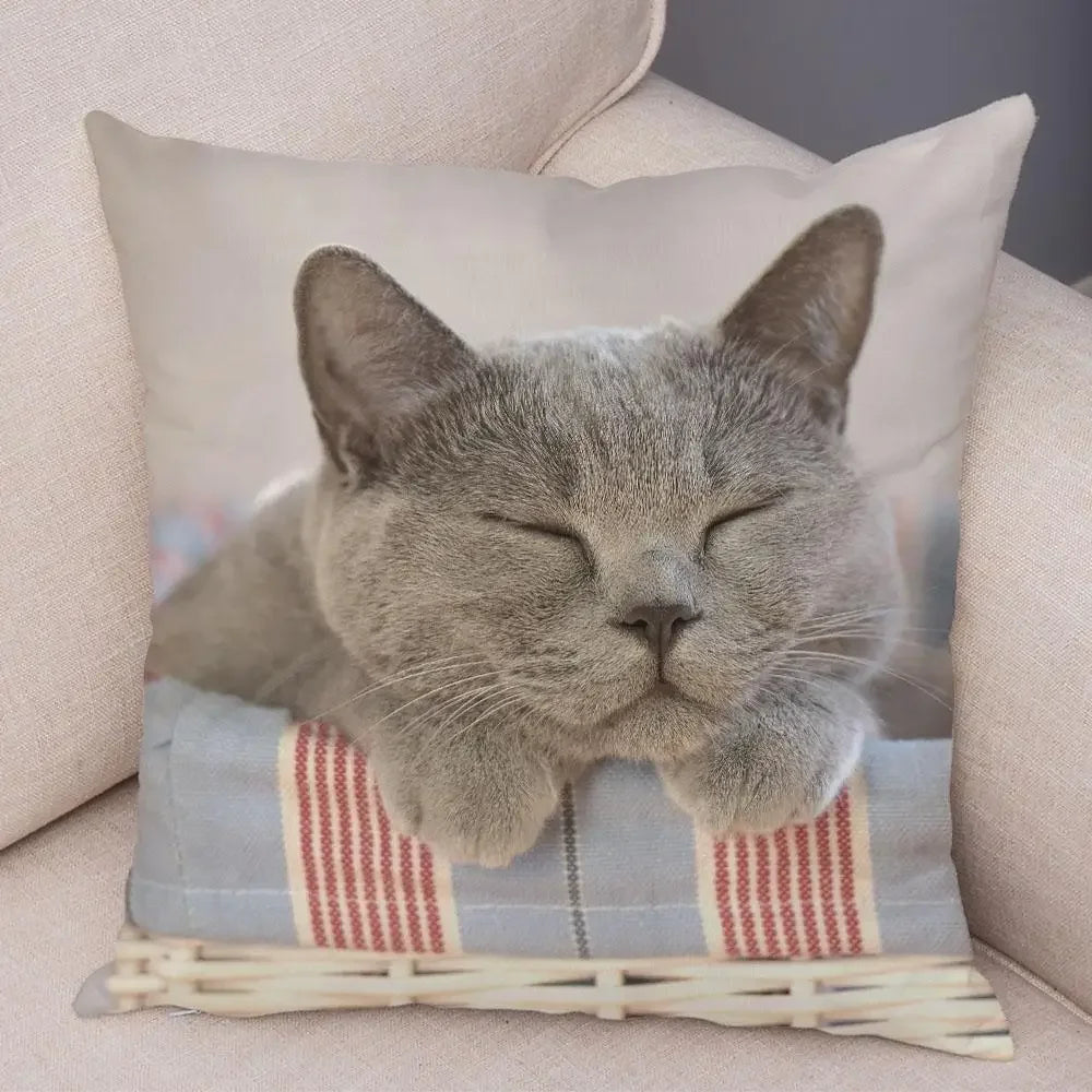 No-EN-Name-Null Printed Square Soft Polyester Multicolor Hilarious Cute Cat Animals Pillowcases /4 Sizes: 16  x 16 Inches/18 x 18 Inches/20 x 20 Inches/24 x 24 Inches/Colors-Animals/Multicolor