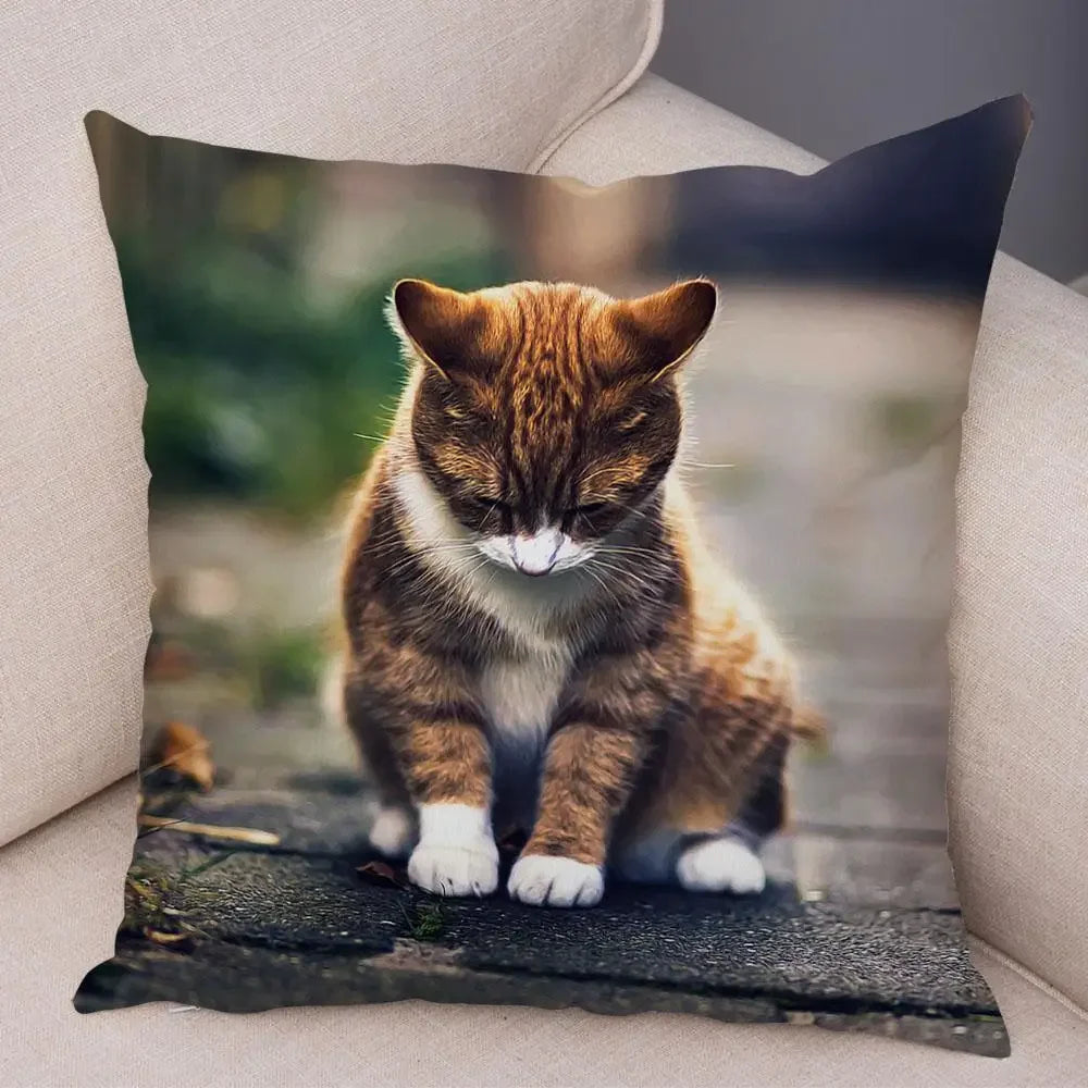 No-EN-Name-Null Printed Square Soft Polyester Multicolor Hilarious Cute Cat Animals Pillowcases /4 Sizes: 16  x 16 Inches/18 x 18 Inches/20 x 20 Inches/24 x 24 Inches/Colors-Animals/Multicolor